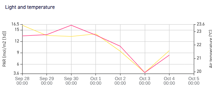 Chart of one week: daily light measured at the crop and daily average
            greenhouse temperature